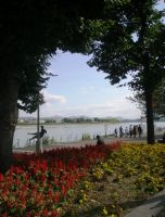 Rhine_River_Bonn_909.jpg