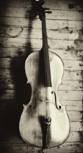 cello_oirtraits.jpg