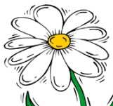 daisy_1.jpg