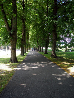 leafy_walk_parnu.jpg