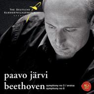 pjbeethoven3image.jpg