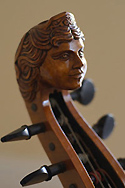 viol_head.jpg
